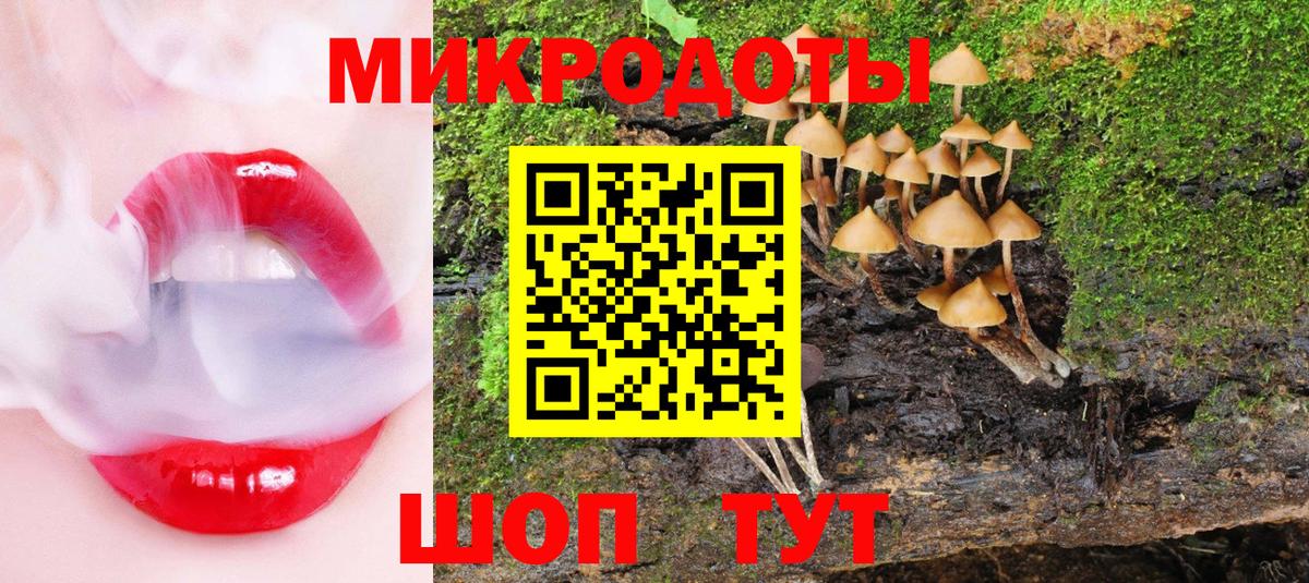 где купить   Псилоцибиновые грибы Psilocybe  Гатчина  Вход с VPN  Псилоцибиновые грибы Psilocybine cubensis 